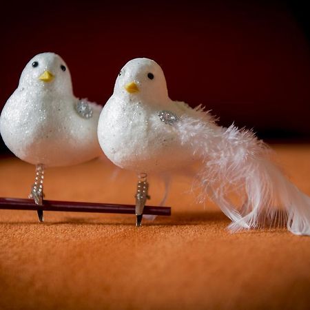 Two White Pigeons Villa Ieper Værelse billede